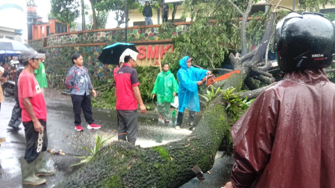 BMKG Keluarkan Peringatan Potensi Cuaca Ekstrem Wilayah Banyumas Raya