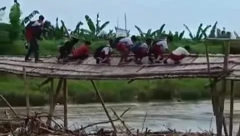 jembatan viral