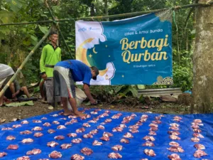 berbagi qurban