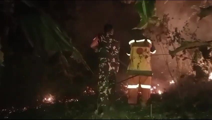 Kebakaran lahan