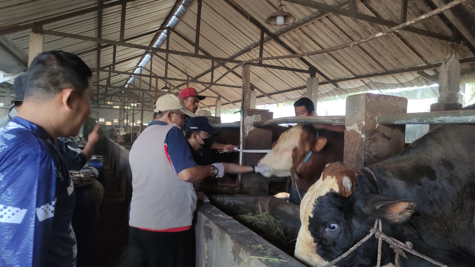 Dinpertan Kabupaten Purbalingga 