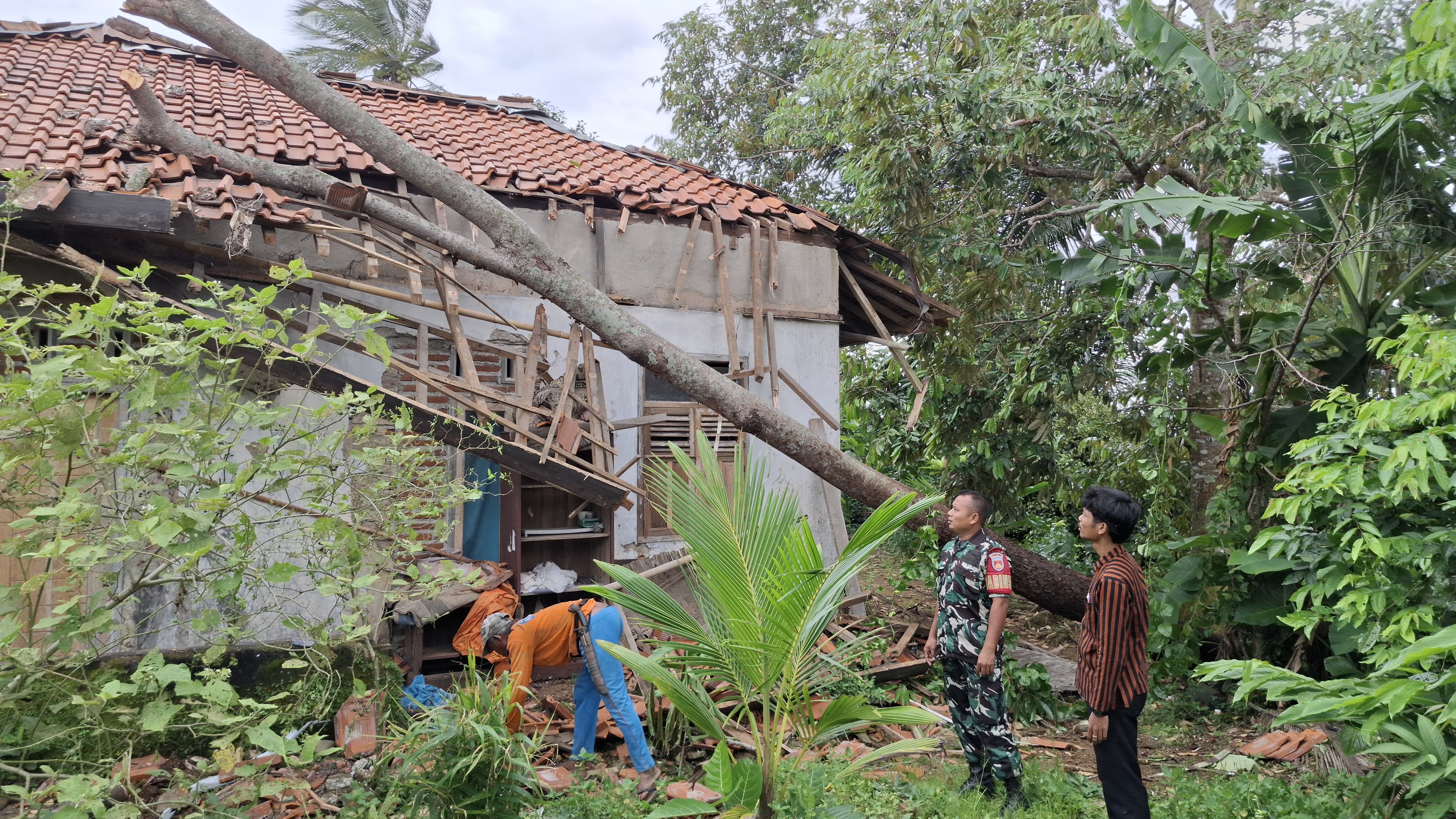 rumah di cilacap rusak