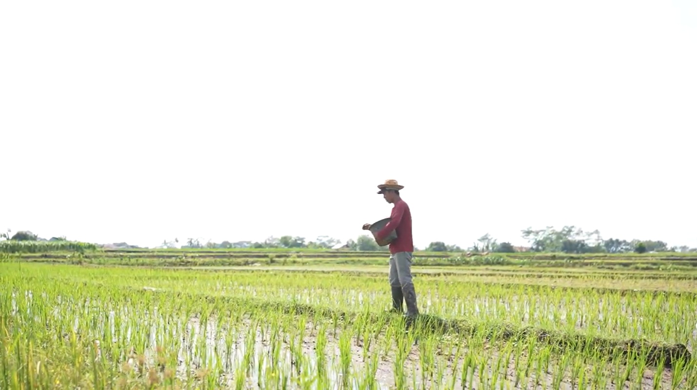 Profesor Unsoed Ciptakan NZEO-SRPlus, Pupuk Revolusioner yang Kurangi Polusi dan Dongkrak Hasil Panen Petani. (Foto : Humas Unsoed)