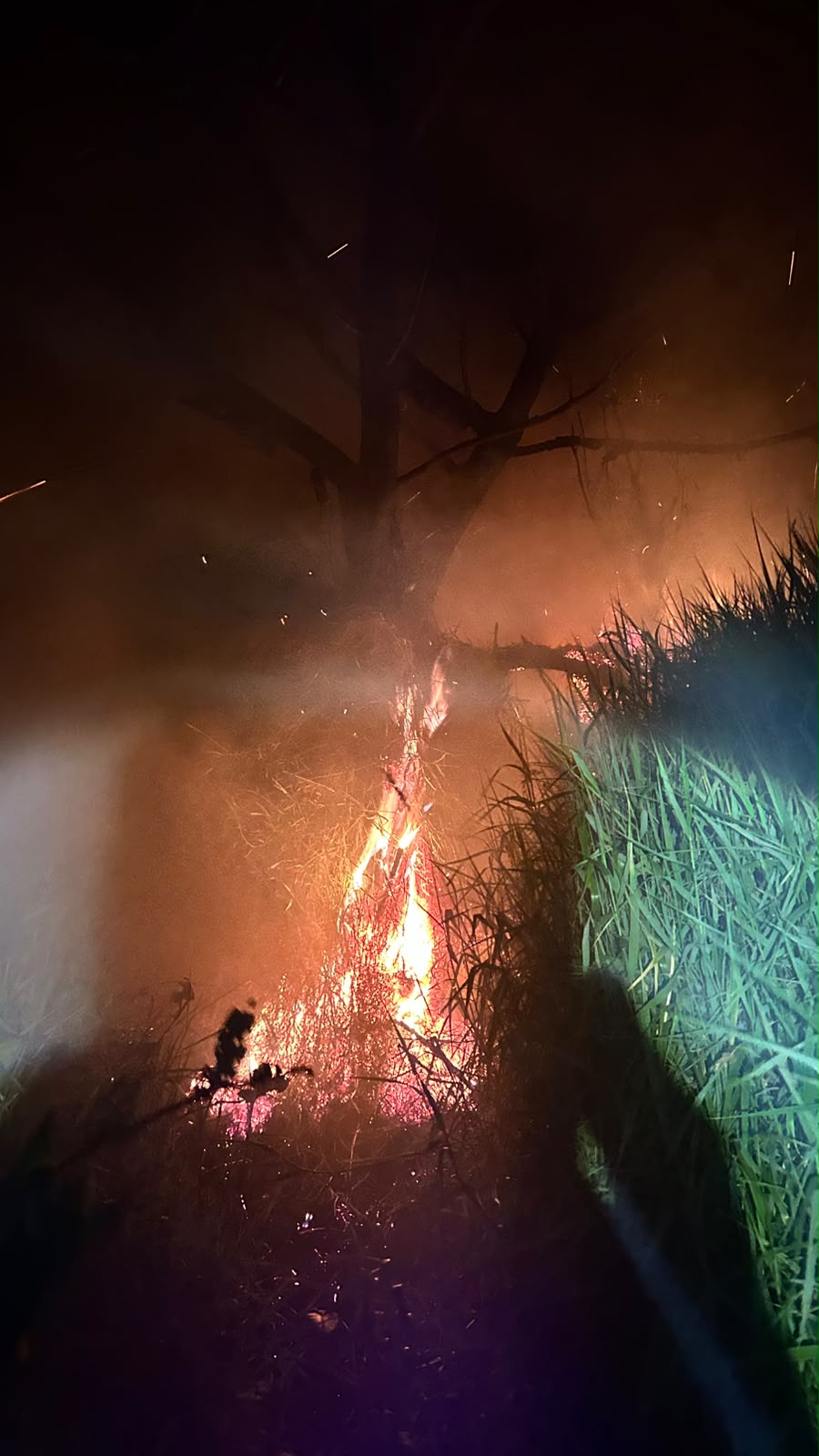 hutan gunung slamet terbakar