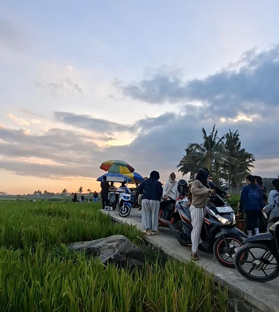 sawah sirodek