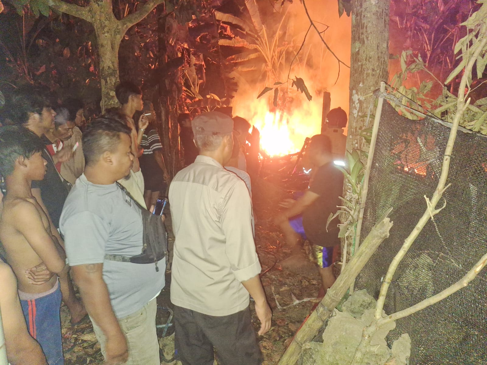 kandang terbakar
