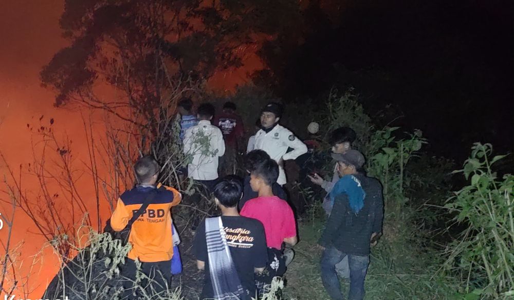 kebakaran hutan lowo ijo